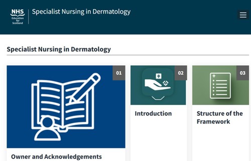 Specialist Nursing in Dermatology Framework